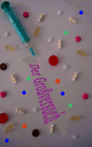 Brigitte Meurer: Der Großversuch