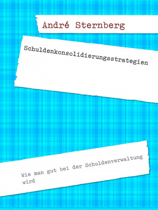 Andre Sternberg: Schuldenkonsolidierungsstrategien