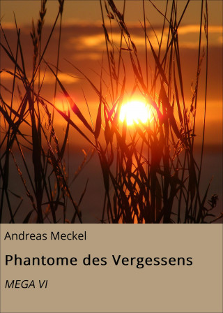 Andreas Meckel: Phantome des Vergessens