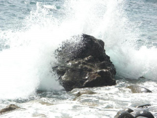 Monika von Loh: Kopfkino