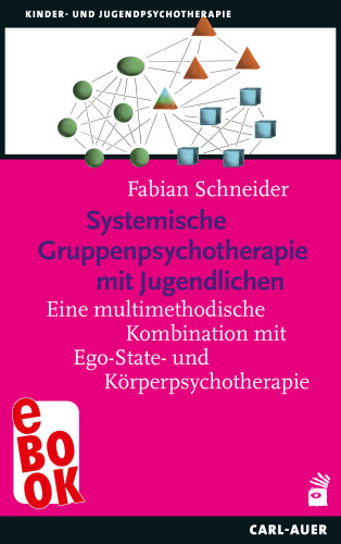 Fabian Schneider: Systemische Gruppenpsychotherapie mit Jugendlichen