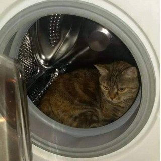 lucy di luna: kleiner Gast im Tierparadies