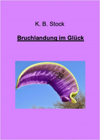 K. B. Stock: Bruchlandung im Glück
