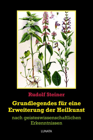 Rudolf Steiner: Grundlegendes zur Erweiterung der Heilkunst