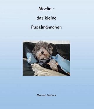Marion Schick: Merlin - das kleine Pudelmännchen