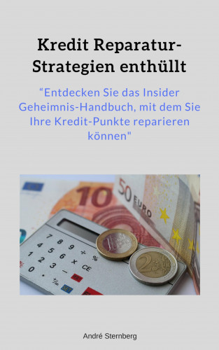 Andre Sternberg: Kredit Reparatur-Strategien enthüllt