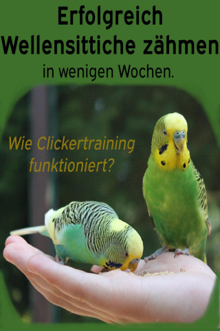 Powerlifting check: Erfolgreich Wellensittiche zähmen in wenigen Wochen. Wie funktioniert Clickertraining mit Wellensittichen?