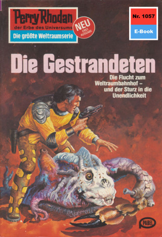 H.G. Francis: Perry Rhodan 1057: Die Gestrandeten