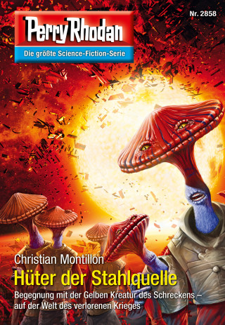 Christian Montillon: Perry Rhodan 2858: Hüter der Stahlquelle