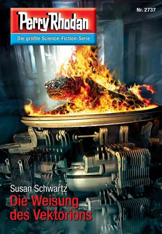 Susan Schwartz: Perry Rhodan 2737: Die Weisung des Vektorions