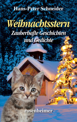 Hans-Peter Schneider: Weihnachtsstern - Zauberhafte Geschichten und Gedichte