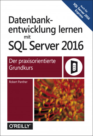 Robert Panther: Datenbankentwicklung lernen mit SQL Server 2016
