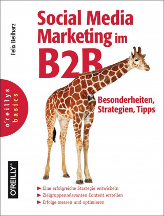 Felix Beilharz: Social Media Marketing im B2B - Besonderheiten, Strategien, Tipps