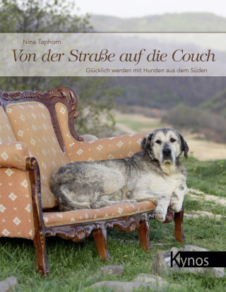Nina Taphorn: Von der Straße auf die Couch