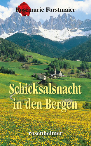Rosemarie Forstmaier: Schicksalsnacht in den Bergen
