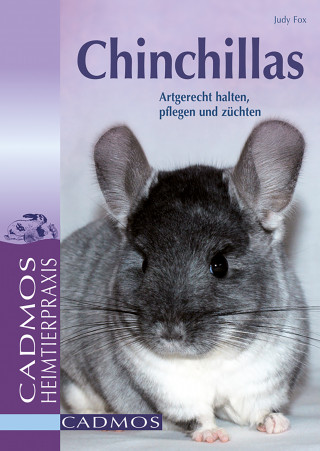 Judy Fox: Chinchillas