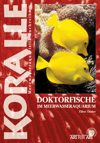 Ellen Thaler: Doktorfische im Meerwasseraquarium