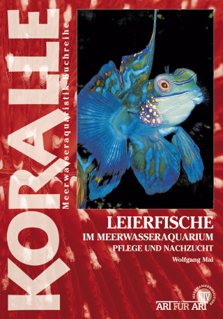 Wolfgang Mai: Leierfische im Meerwasseraquarium