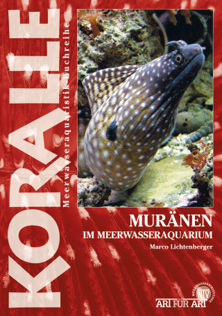 Marko Lichtenberger: Muränen im Meerwasseraquarium