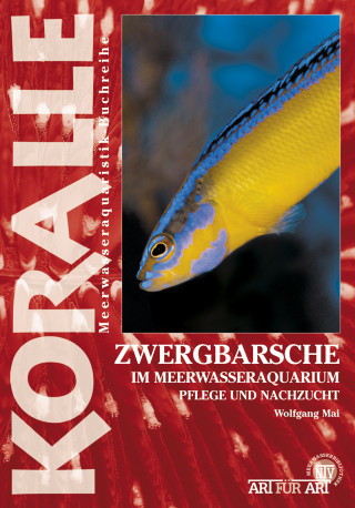 Wolfgang Mai: Zwergbarsche im Meerwasseraquarium