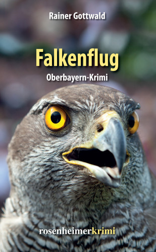 Rainer Gottwald: Falkenflug
