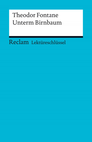Theodor Fontane, Michael Bohrmann: Lektüreschlüssel. Theodor Fontane: Unterm Birnbaum