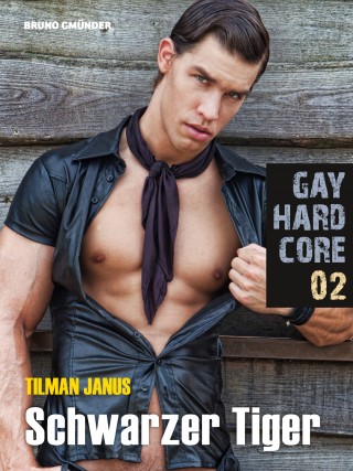 Tilman Janus: Gay Hardcore Quickie 02: Schwarzer Tiger