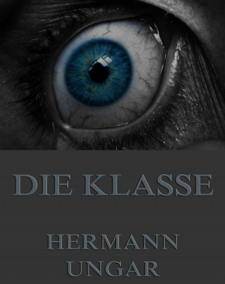 Hermann Ungar: Die Klasse