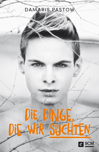 Damaris Pastow: Die Dinge, die wir suchten