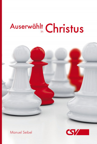 Manuel Seibel: Auserwählt in Christus