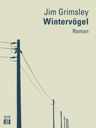 Jim Grimsley: Wintervögel
