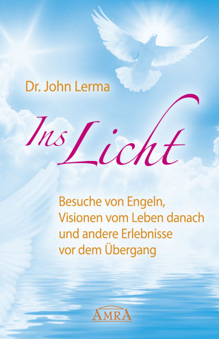 John Lerma: Ins Licht
