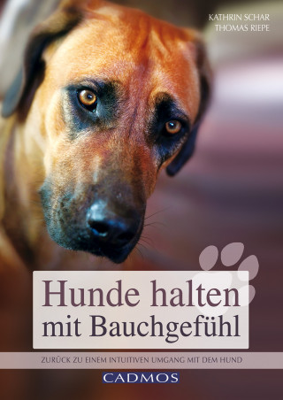 Kathrin Schar, Thomas Riepe: Hunde halten mit Bauchgefühl