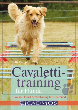 Steffi Rumpf: Cavalettitraining für Hunde
