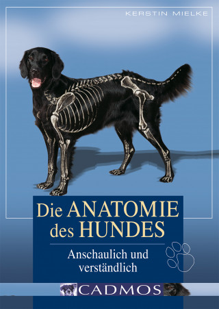 Kerstin Mielke: Die Anatomie des Hundes
