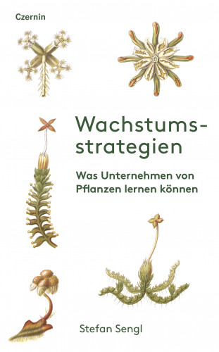 Stefan Sengl: Wachstumsstrategien