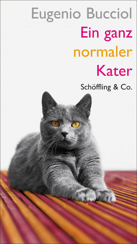 Eugenio Bucciol: Ein ganz normaler Kater