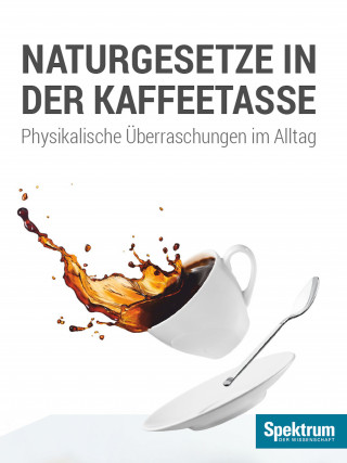 H. Joachim Schlichting: Naturgesetze in der Kaffeetasse