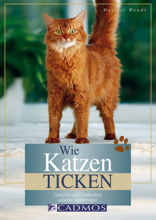 Marlitt Wendt: Wie Katzen ticken