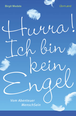 Birgit Medele: Hurra! Ich bin kein Engel