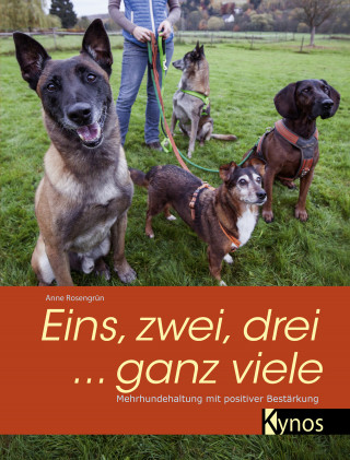 Anne Rosengrün: Eins, zwei, drei ... ganz viele