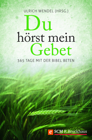 Ulrich Wendel: Du hörst mein Gebet