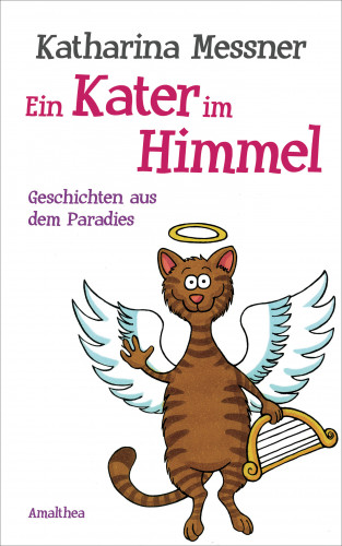 Katharina Messner: Ein Kater im Himmel