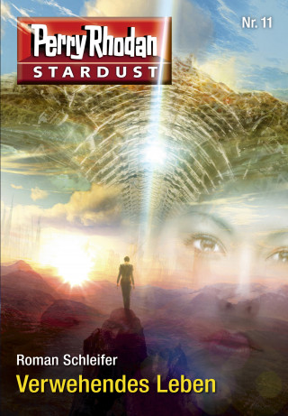 Roman Schleifer: Stardust 11: Verwehendes Leben