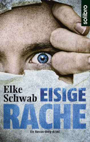 Elke Schwab: Eisige Rache
