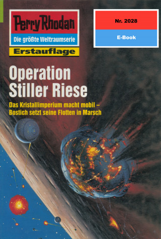 Rainer Castor: Perry Rhodan 2028: Operation Stiller Riese