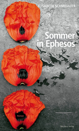 Elisabeth Schmidauer: Sommer in Ephesos