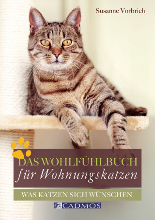 Susanne Vorbich: Das Wohlfühlbuch für Wohnungskatzen