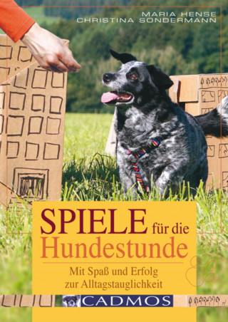 Maria Hense, Christina Sondermann: Spiele für die Hundestunde