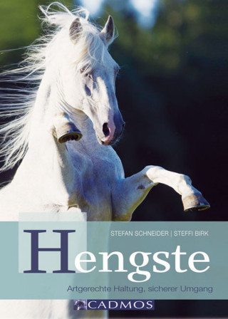 Stefan Schneider, Steffi Birk: Hengste